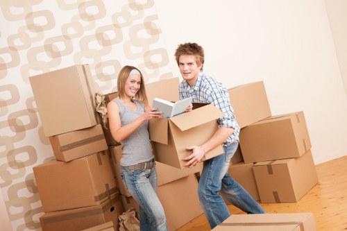 Wardrobe and fragile-item boxes suitable for West London removals